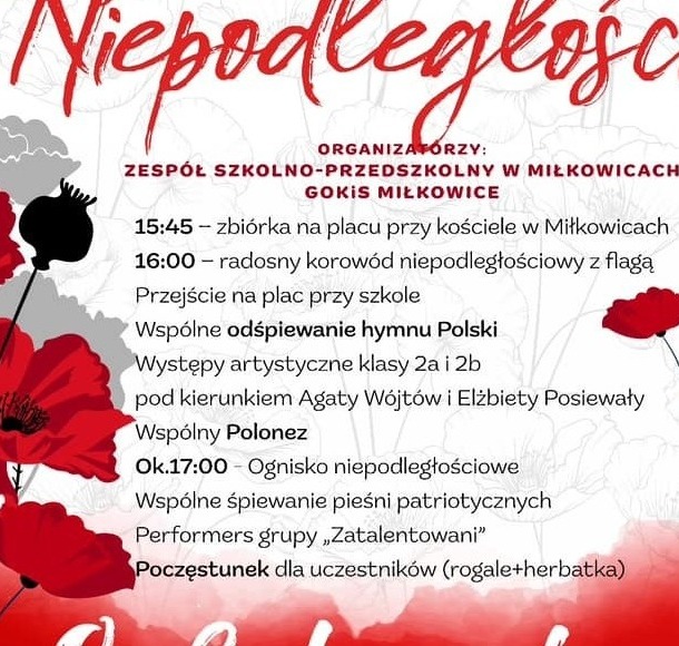 Zdjęcie do Dzień Niepodległości