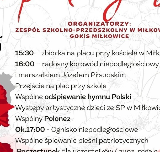 Zdjęcie do Dzień Niepodległości 2026