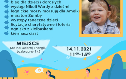 Zdjęcie do Festyn charytatywny dla Amelki