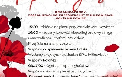 Zdjęcie do Dzień Niepodległości 2026