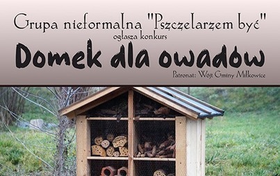 Zdjęcie do Konkurs na domek dla owad&oacute;w