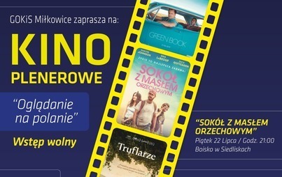 Zdjęcie do Kino plenerowe "Oglądanie na polanie"